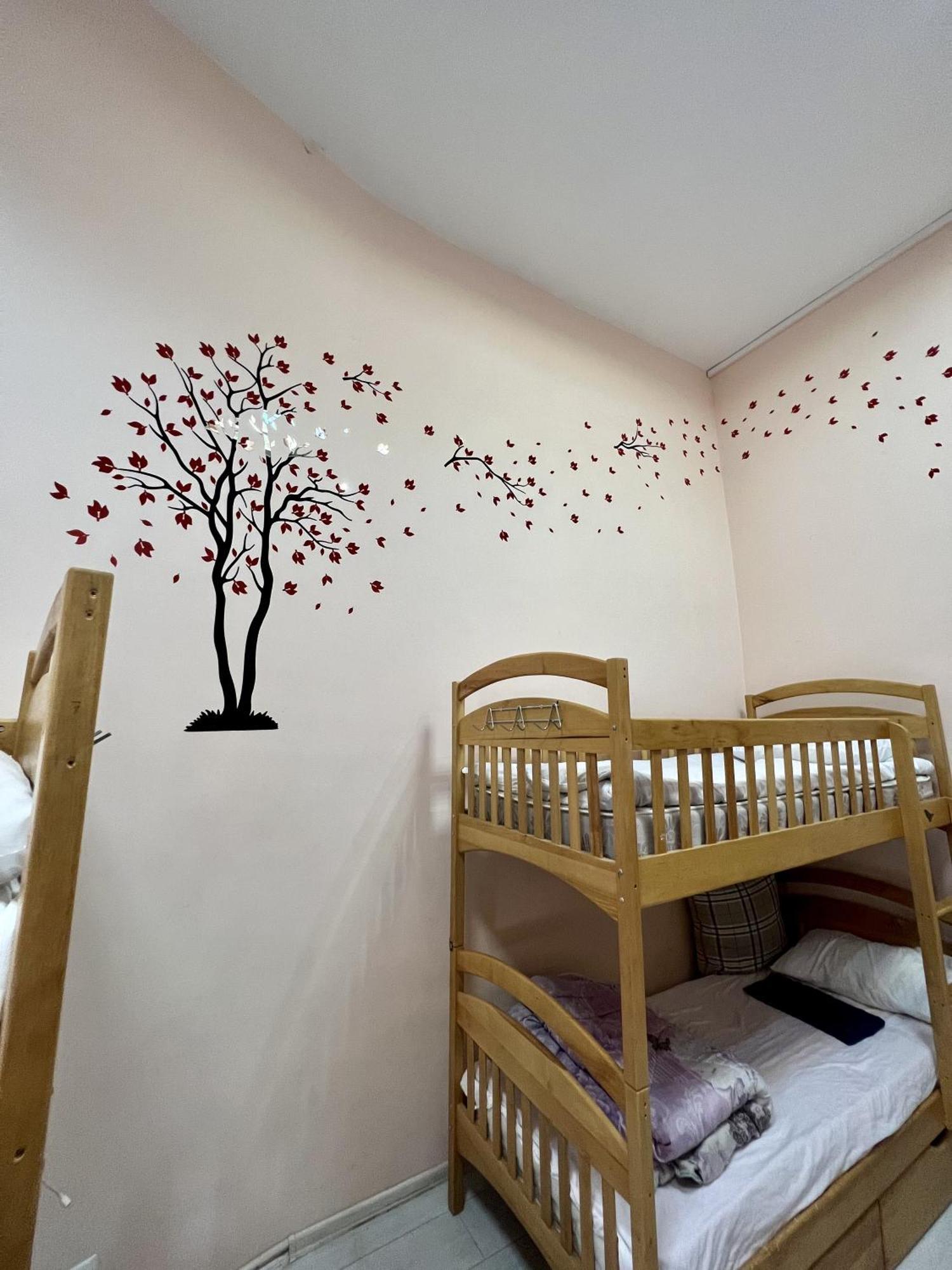 קייב Dja Hostel מראה חיצוני תמונה